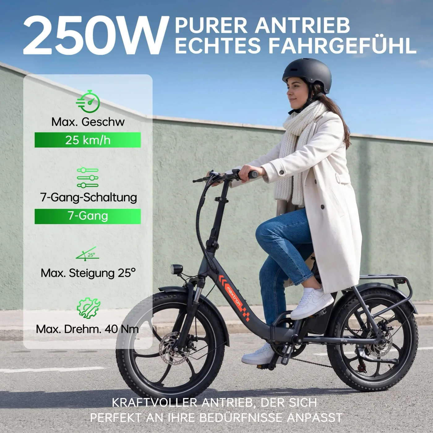 250 Watt Rückenwind, Maxtron Mule